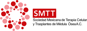 Smtt logo 001